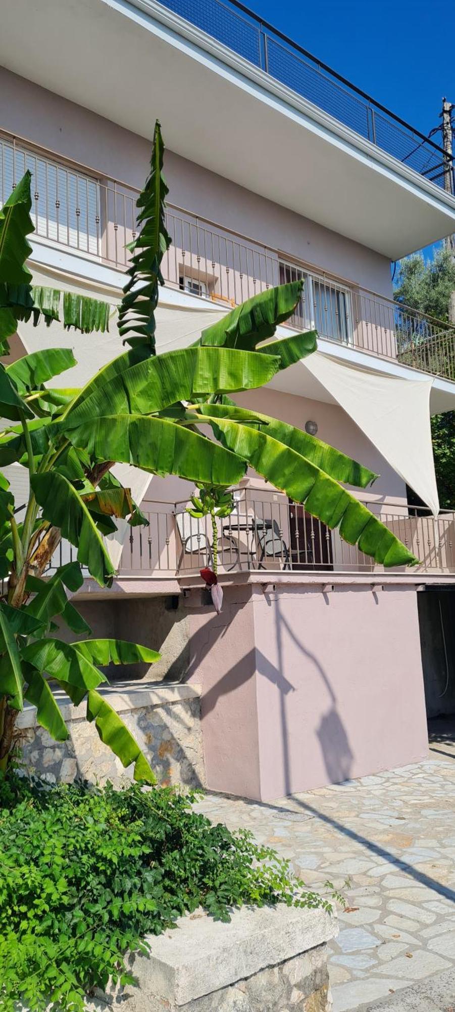 Gerys House Apartment นิเกียนา ภายนอก รูปภาพ